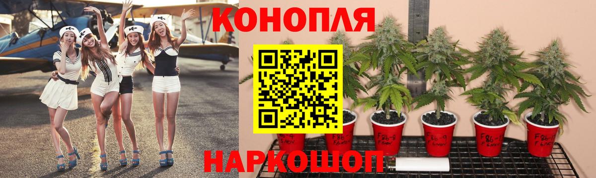 Соликамск  Марихуана SATIVA & INDICA  Вход с VPN  Бошки Шишки SATIVA & INDICA 